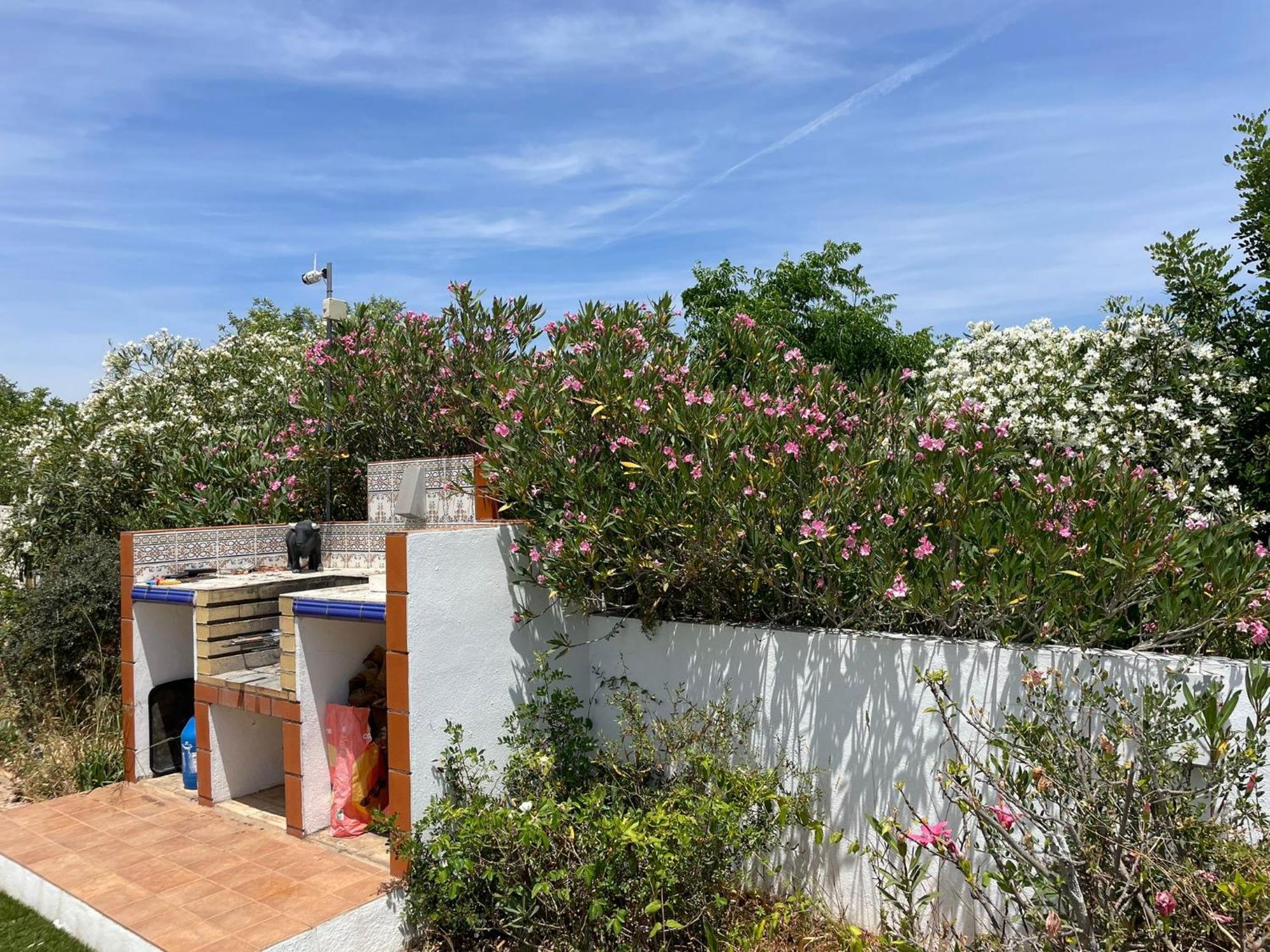 Vila Casa Vista Dos Cerros Loulé Exteriér fotografie